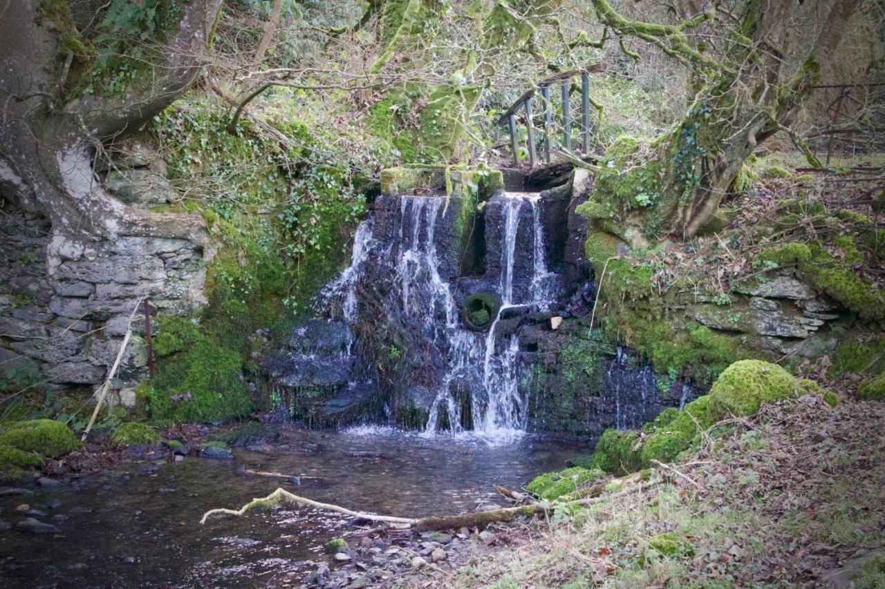 Waterfall Cottage ローンソン エクステリア 写真